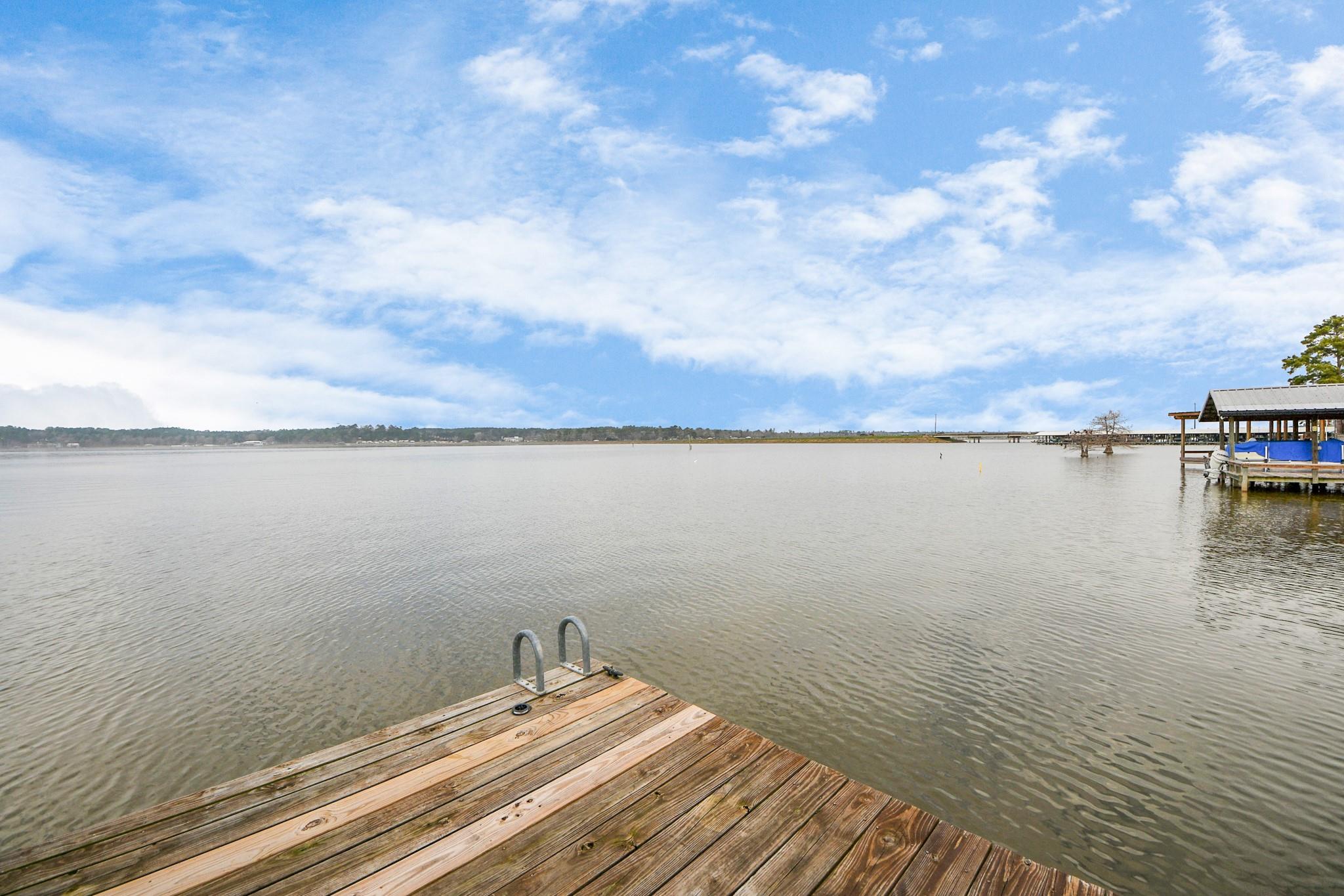 292 Kickapoo Drive, Livingston, TX 77351 — photo 3