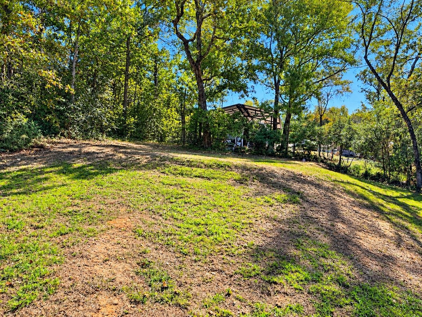 333 Ridge Trail, Trinity, TX 75862 — photo 3