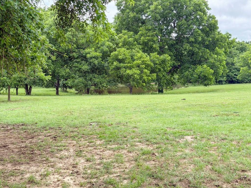 3111 FM 2737 — photo