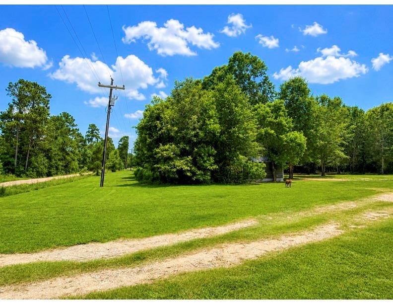 476 Camp Branch Road, Trinity, TX 75862 — photo 3