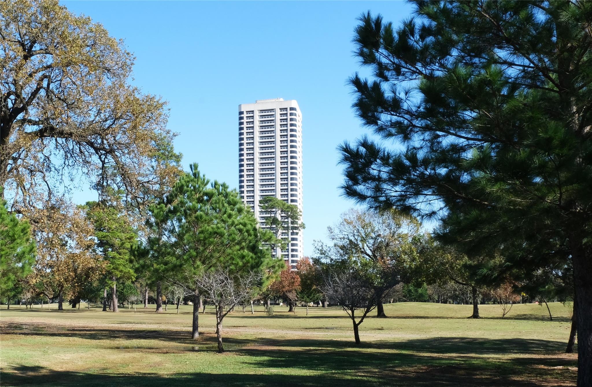 1701 Hermann Drive #17D — photo