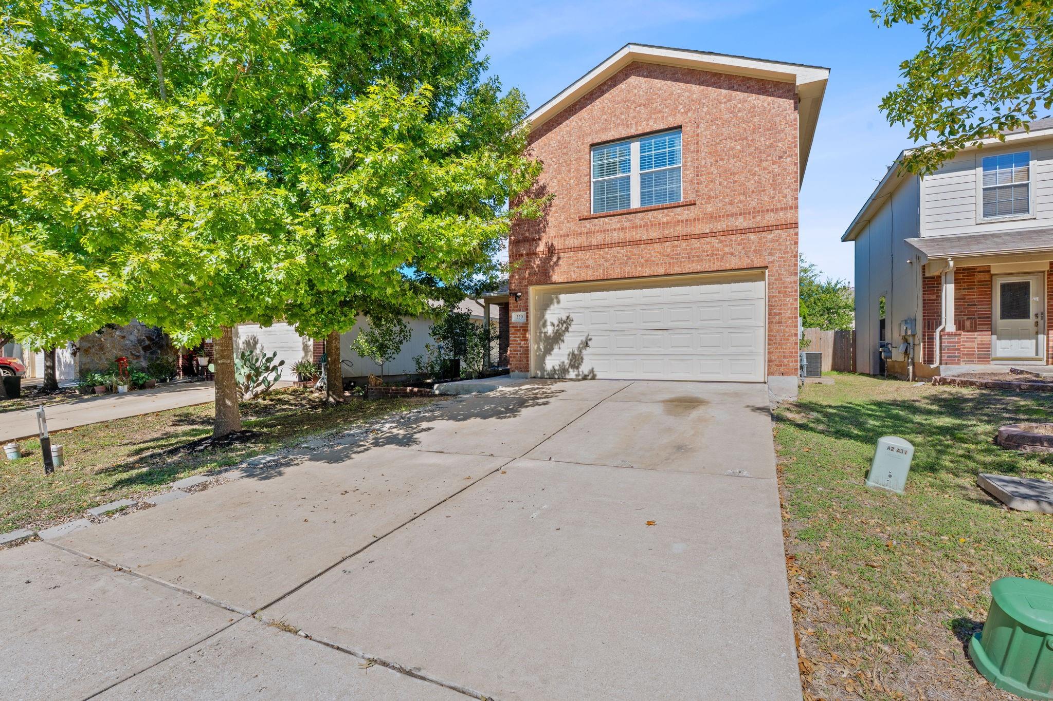 229 Black Forest — photo