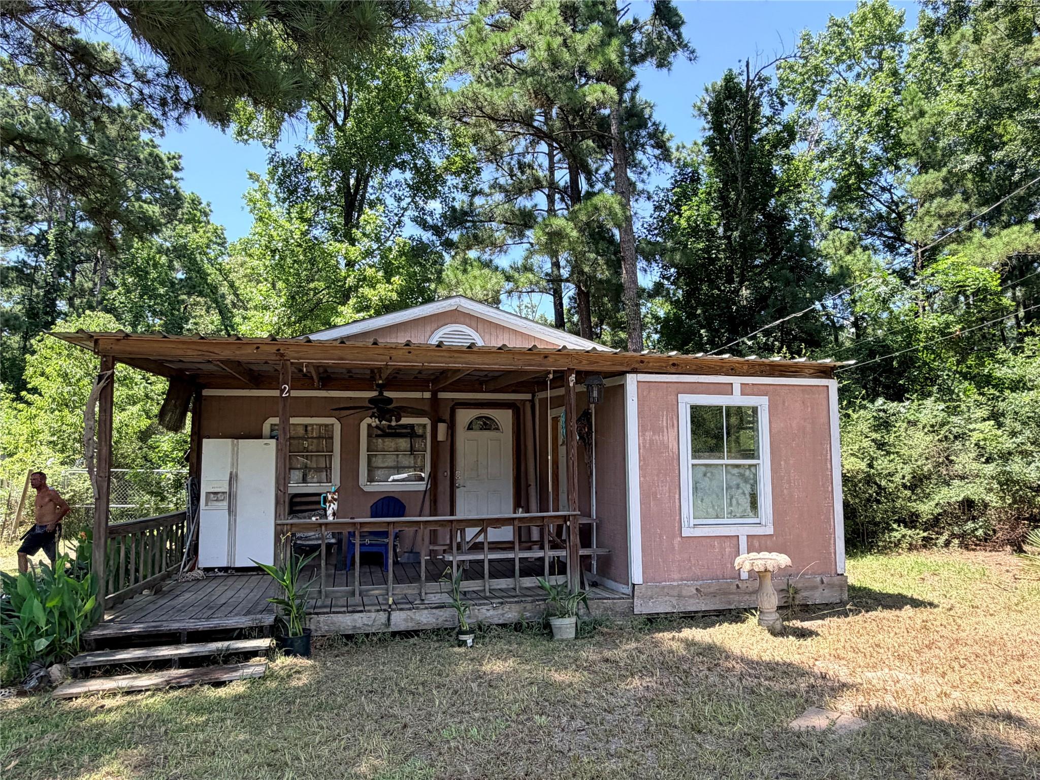 204 Kangaroo — photo