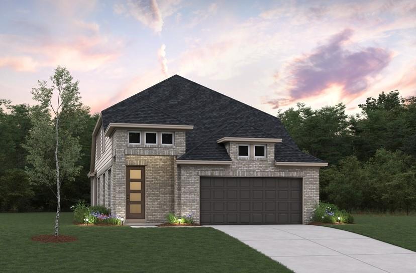 21434 Gazania Daisy Lane — photo