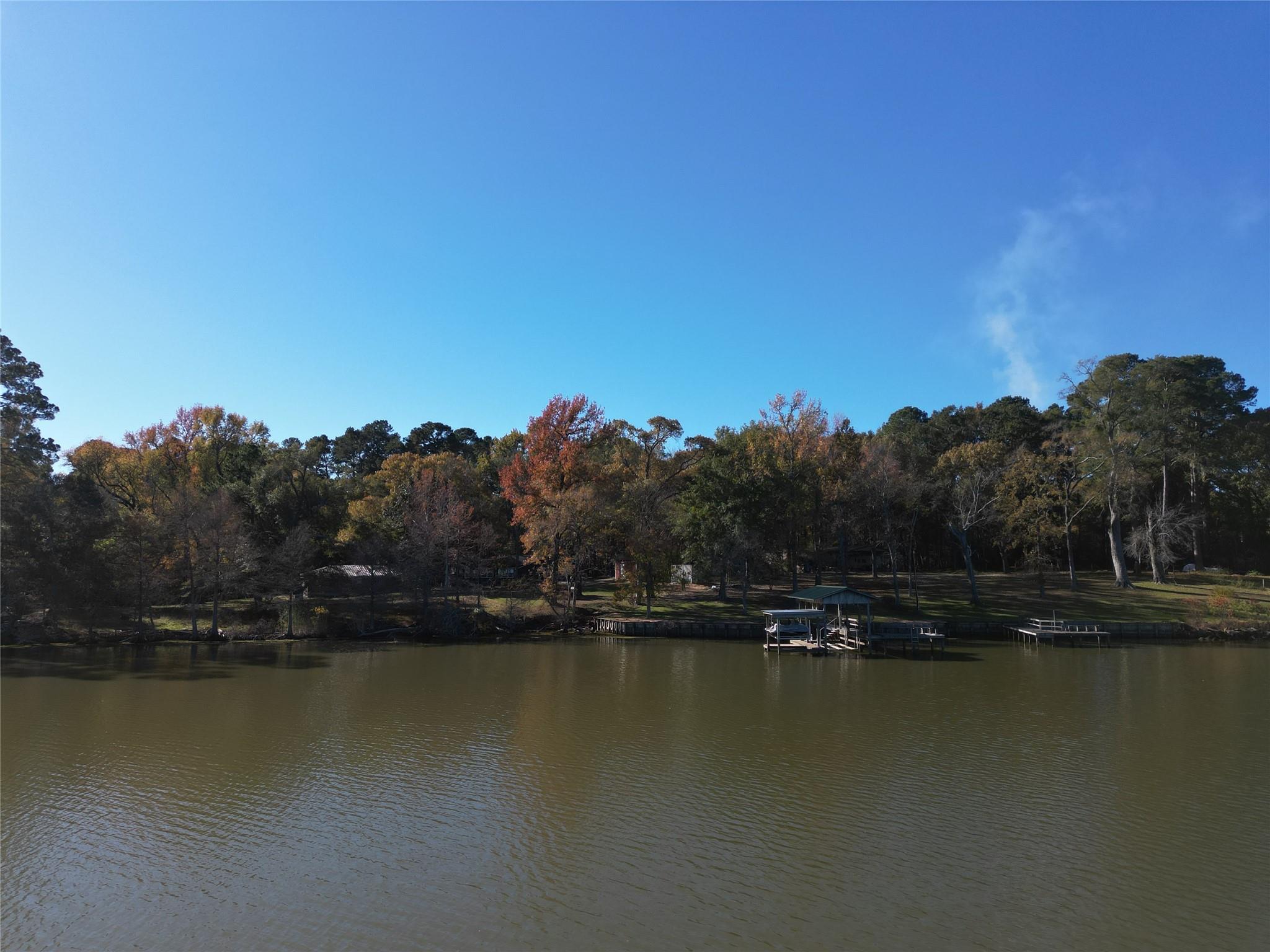 161 E Waltz Lane, Trinity, TX 75862 — photo 3