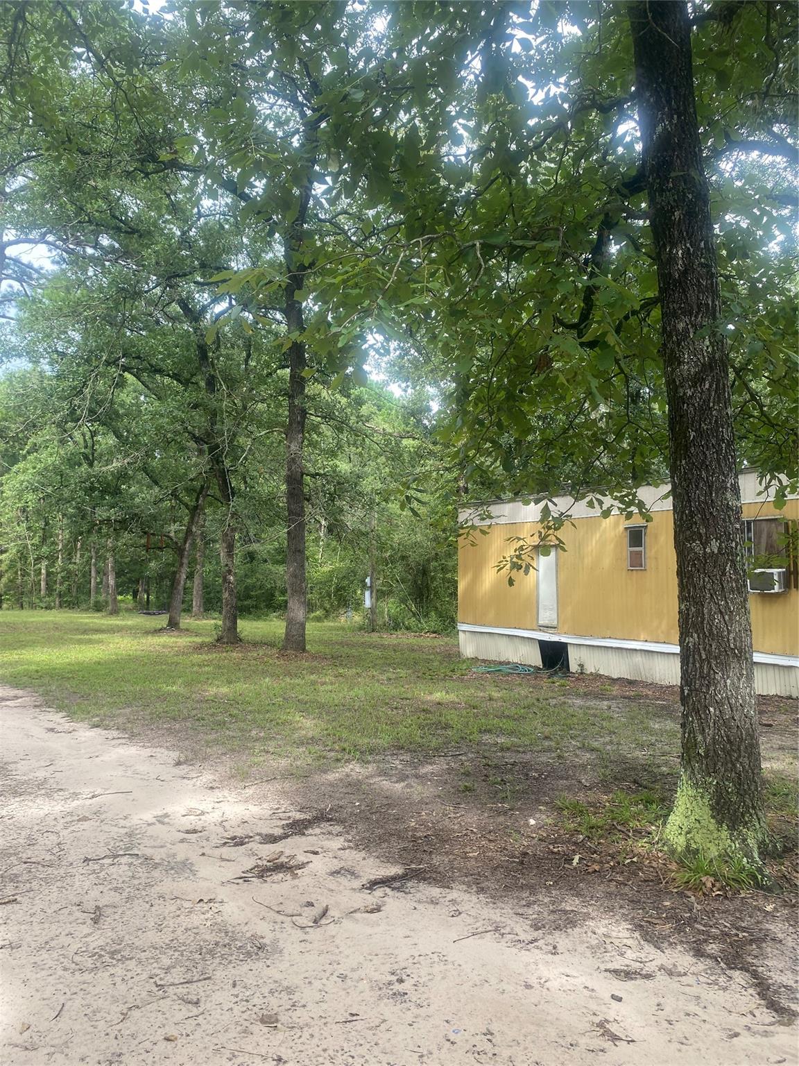 137 Camp Road, Trinity, TX 75862 — photo 3