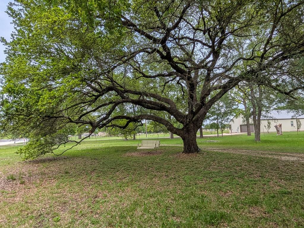 1139 County Rd 403, Anderson, TX 77830 — photo 2