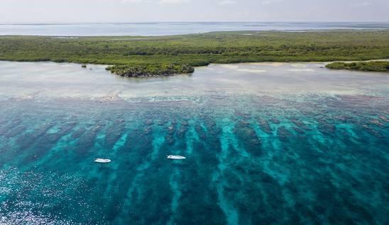 4 Acres - NE Turneff Island - Belize — photo