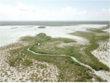 19.75 Acres Ocean Front-Lagoon Front Corozal Free Zone — photo