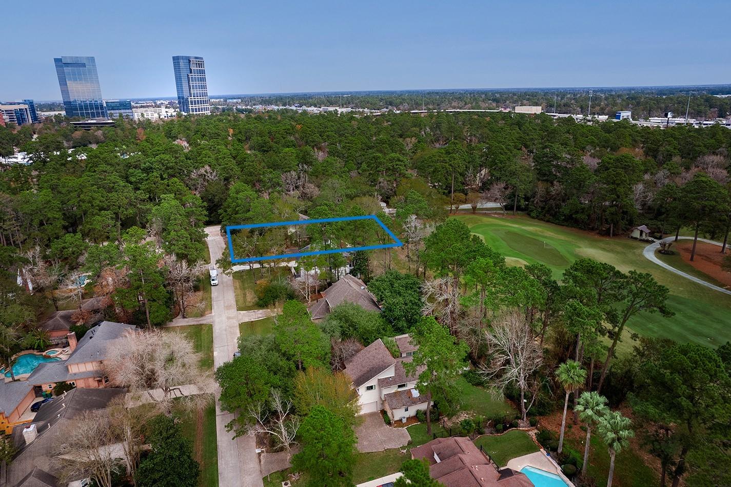 2 Box Turtle Lane, The Woodlands, TX 77380 — photo 3