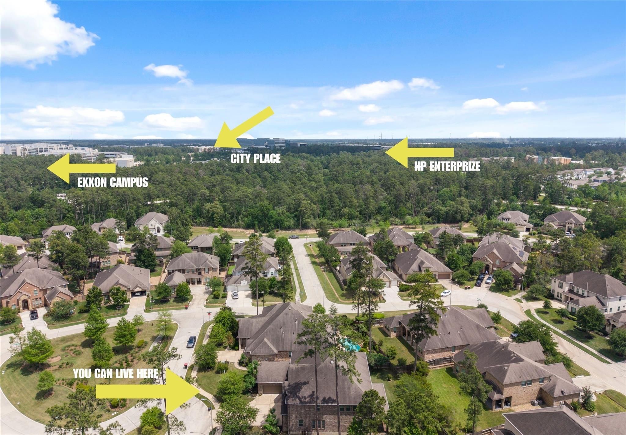 2607 Tree Swallow Bluff Path, Spring, TX 77389 — photo 2