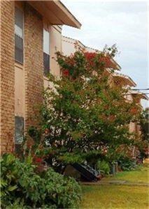 500 E 7th Street, Springtown, TX 76082 — photo 3