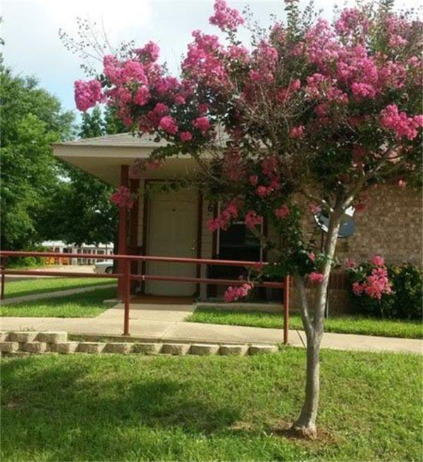1500 E Marshall Avenue — photo