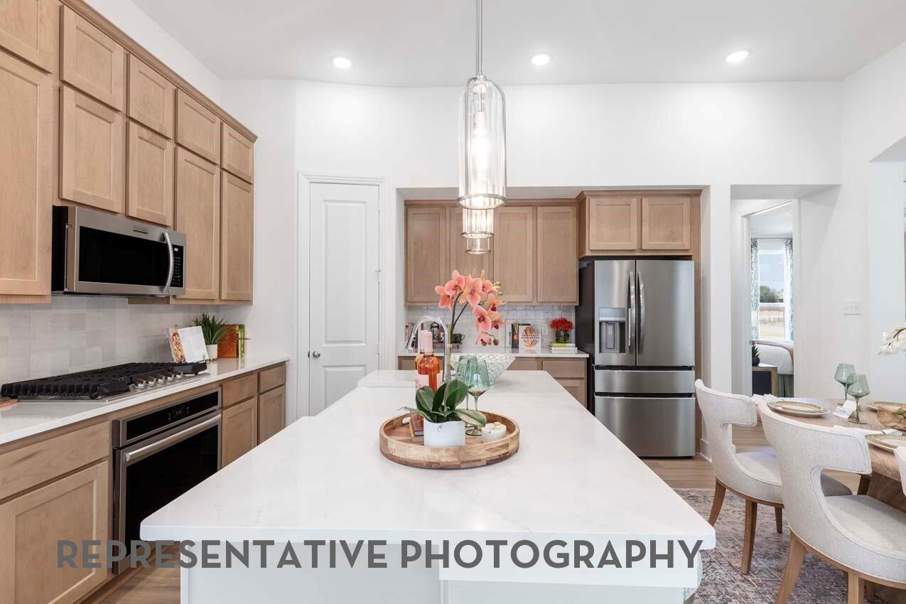 26141 North Skylight Brook Circle — photo