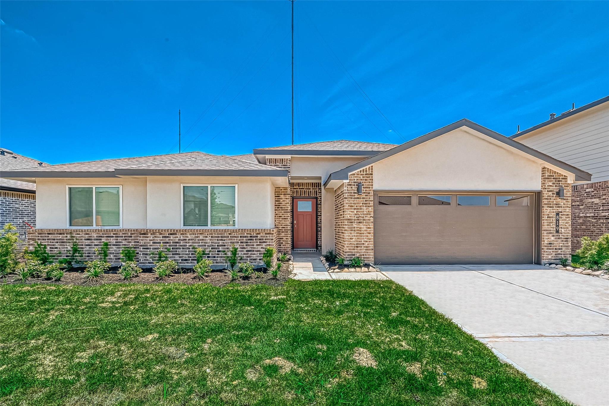 819 Dhalia Petal — photo