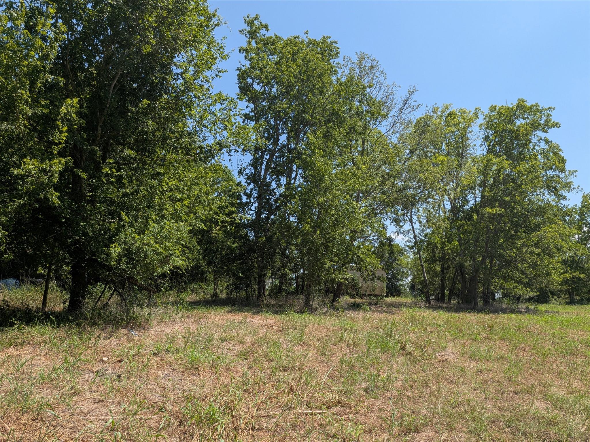 18320 Sweed Road, Washington, TX 77880 — photo 2