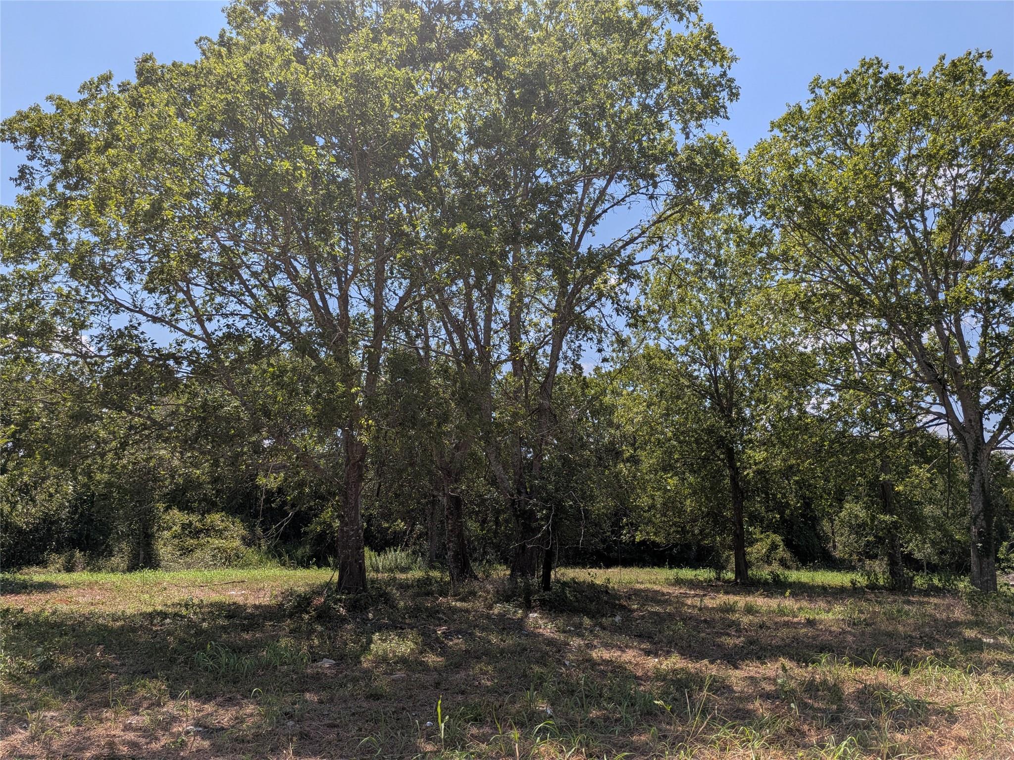 18320 Sweed Road, Washington, TX 77880 — photo 3