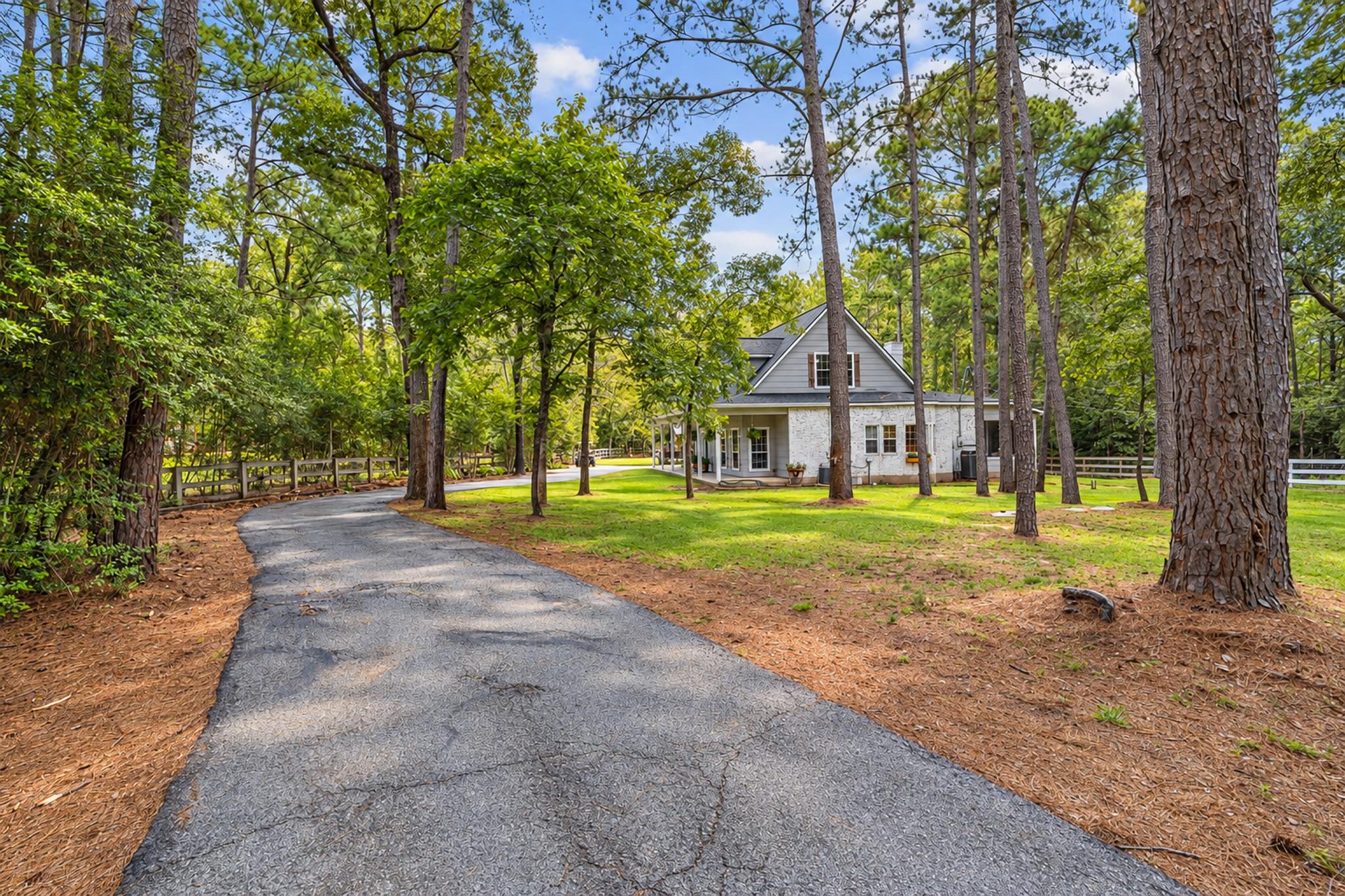 19610 Timber Ridge Drive, Magnolia, TX 77355 — photo 3
