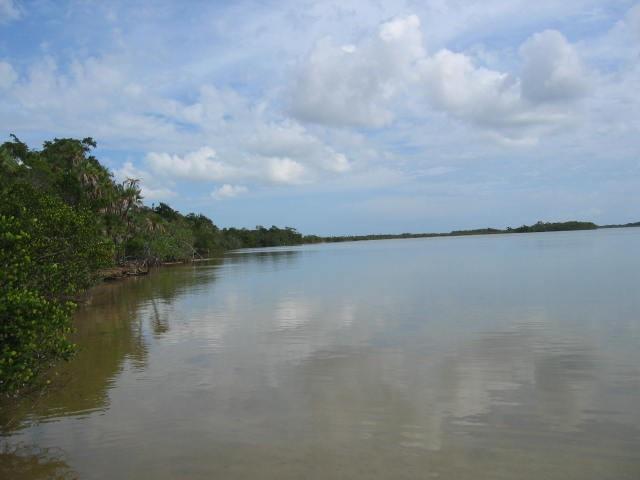 21 Acres - Punta Icacos — photo