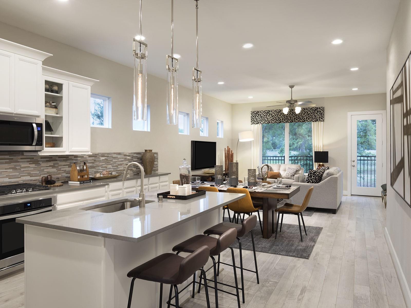 22647 Rice Flower Way — photo