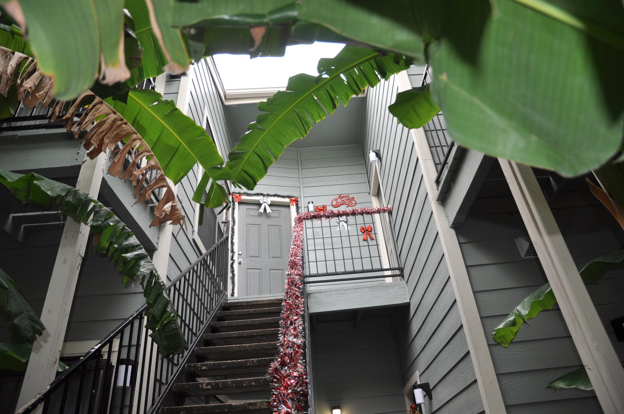 3754 Tanglewilde Street #C16 — photo