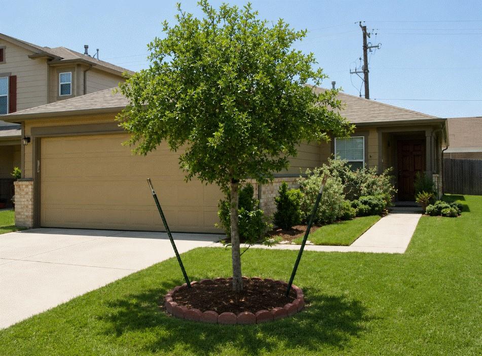 8515 Westknoll Lane — photo