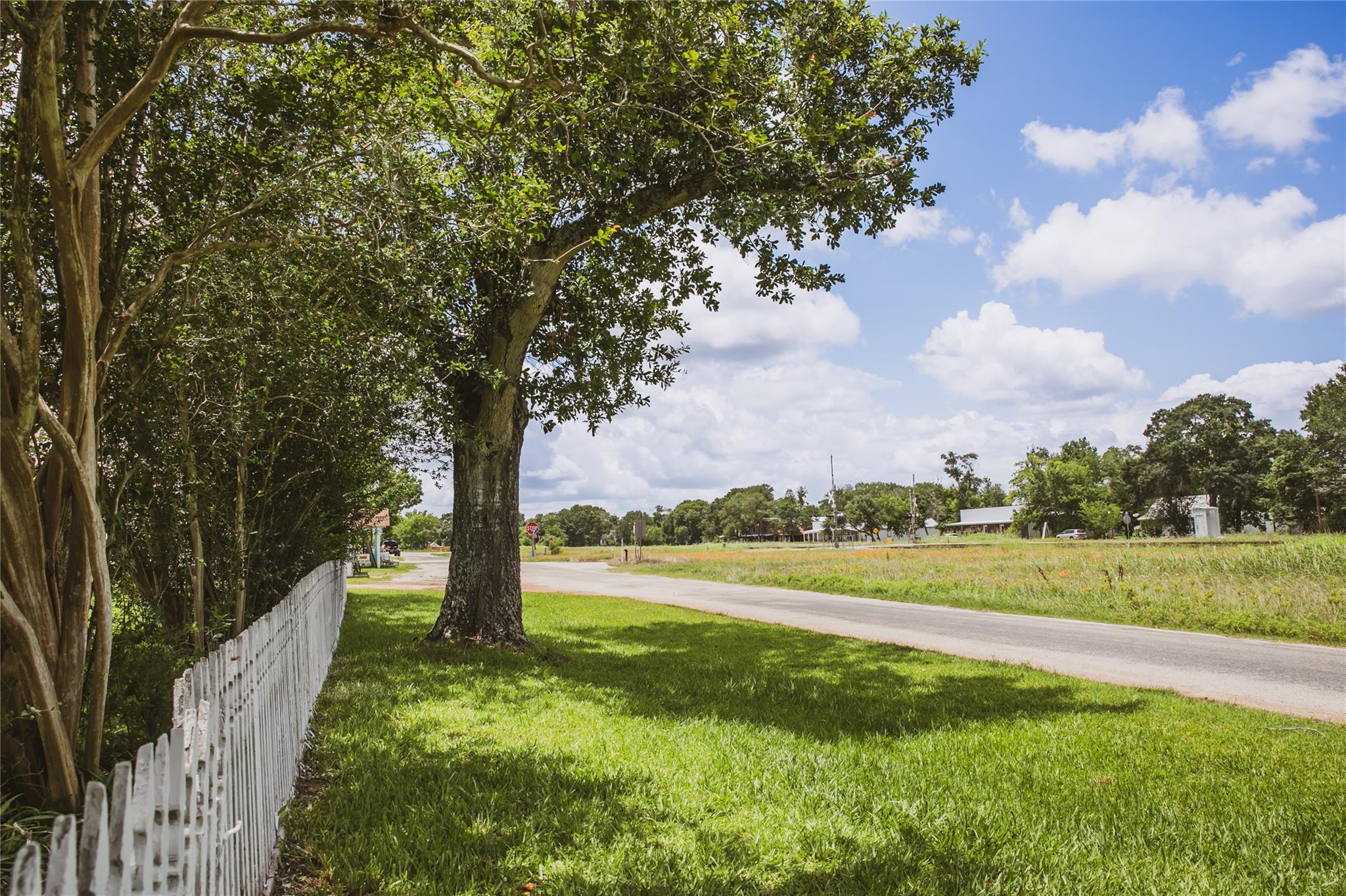 10753 Track Rd E, Cat Spring, TX 78933 — photo 2