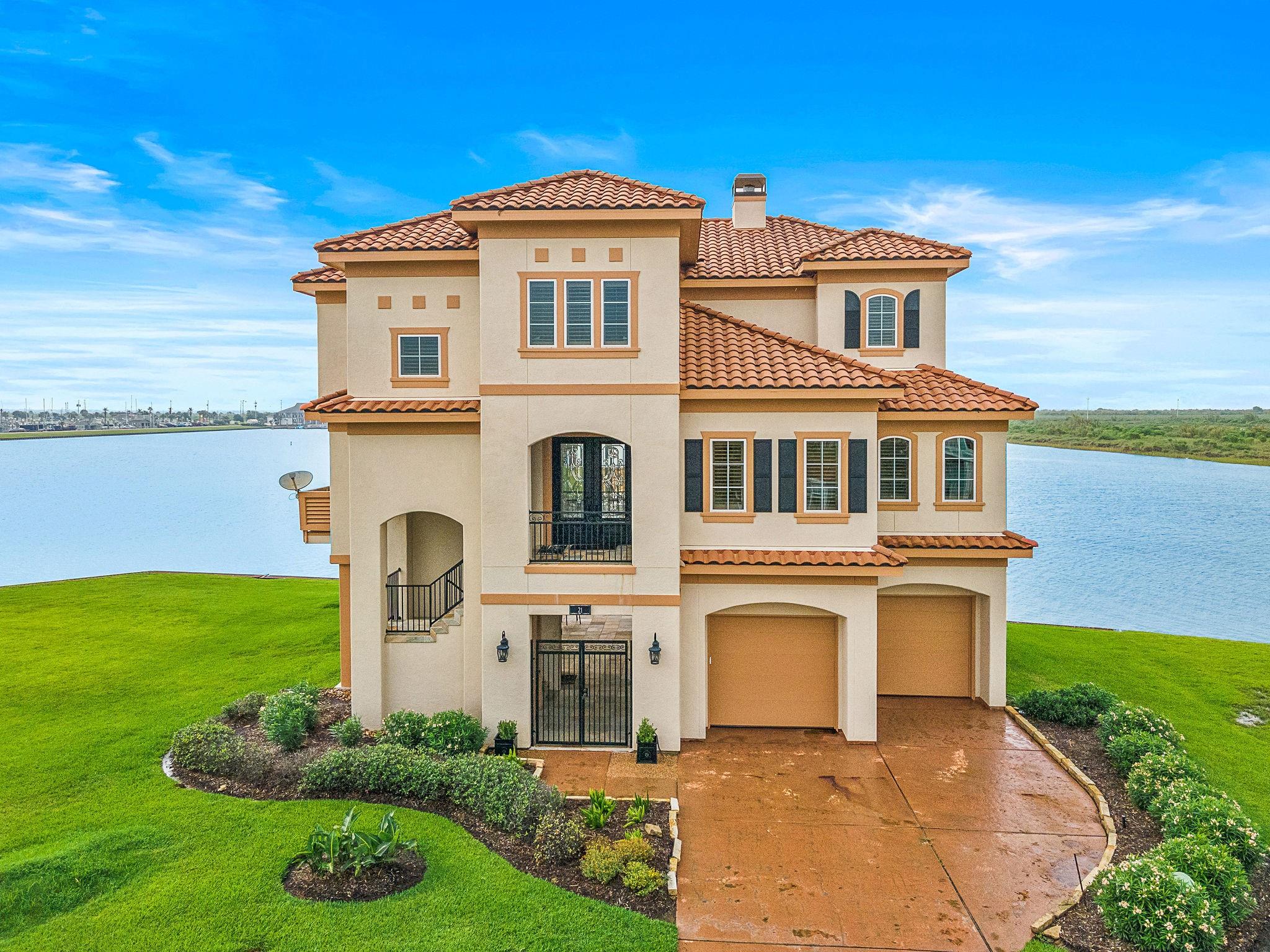 21 Loggerhead — photo