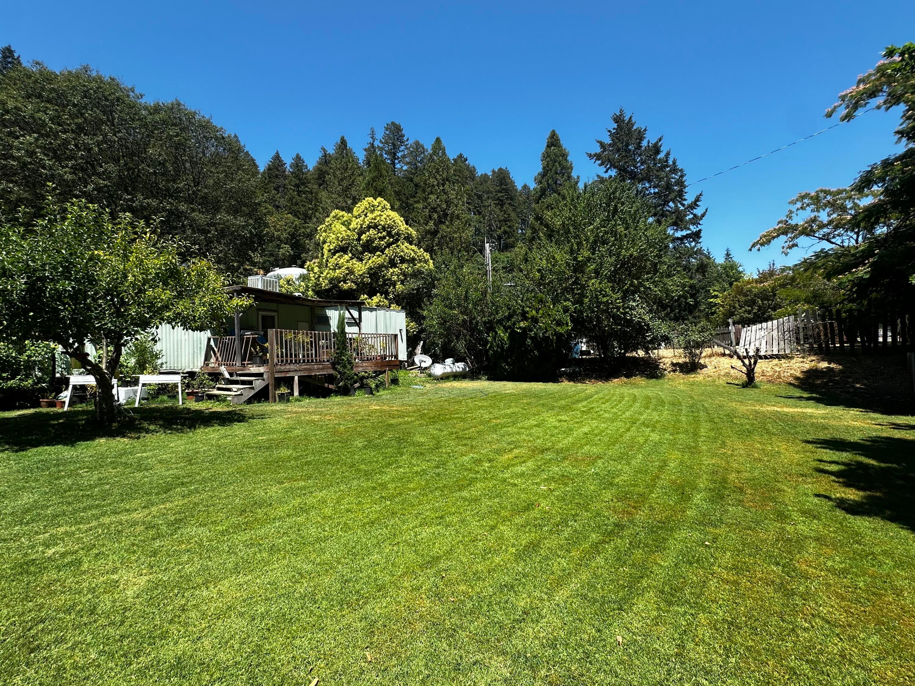 39574 Ca-299 — photo