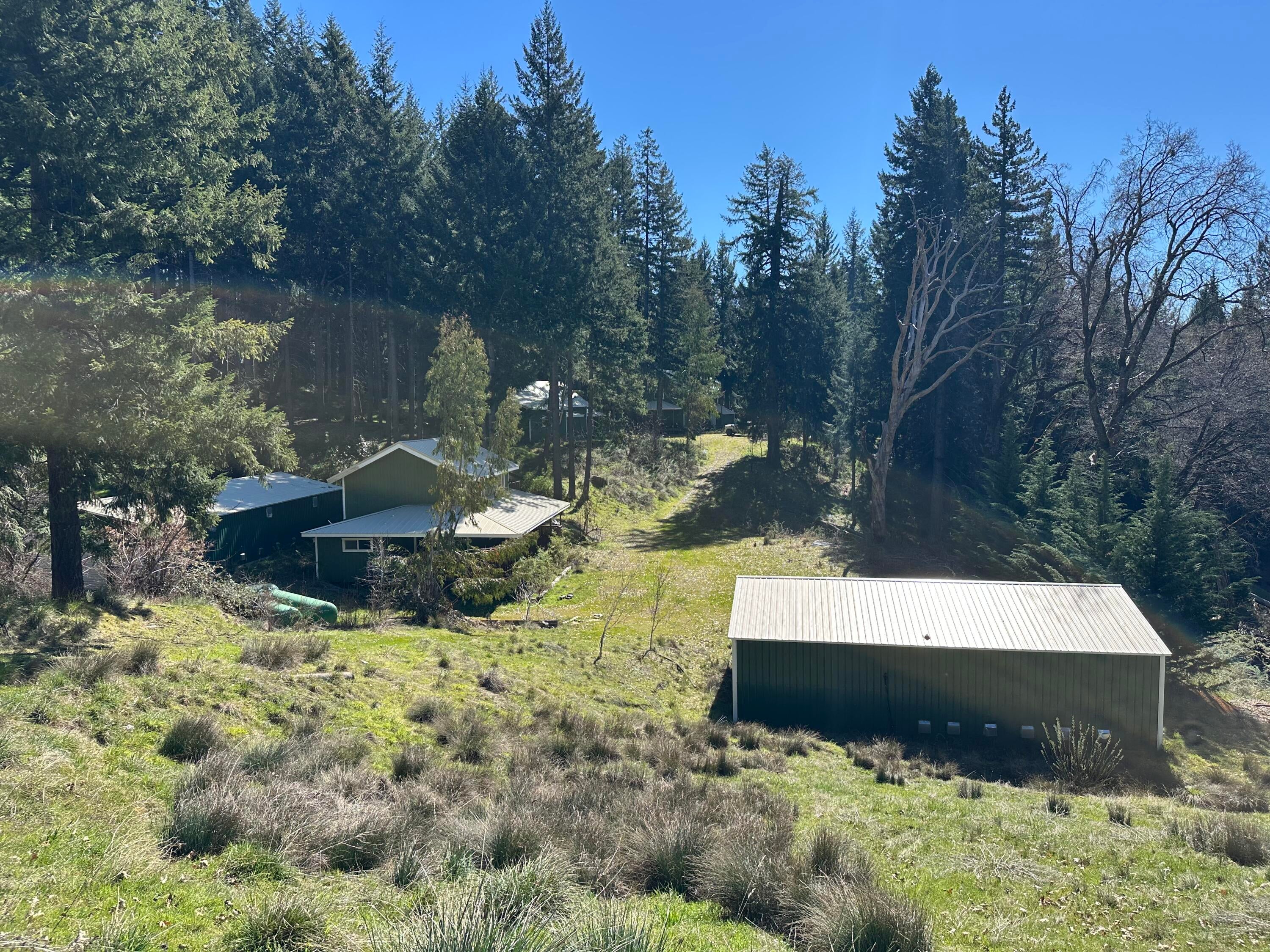 Oo Forest Service 4N32 Road — photo