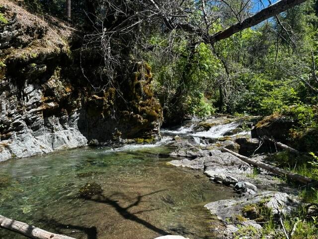 8980 Reading Creek Road — photo