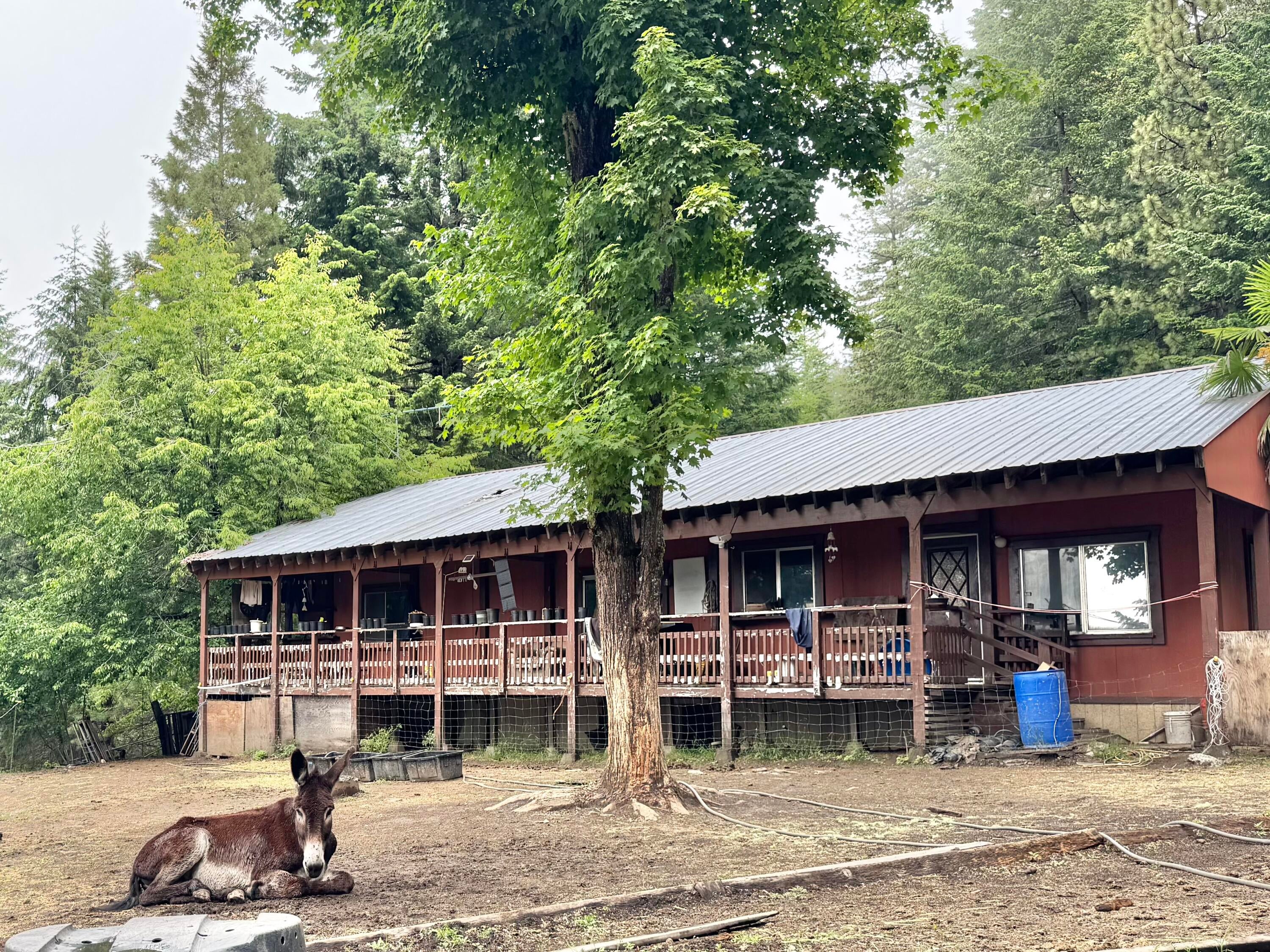 12575 Buck Mountain Road — photo