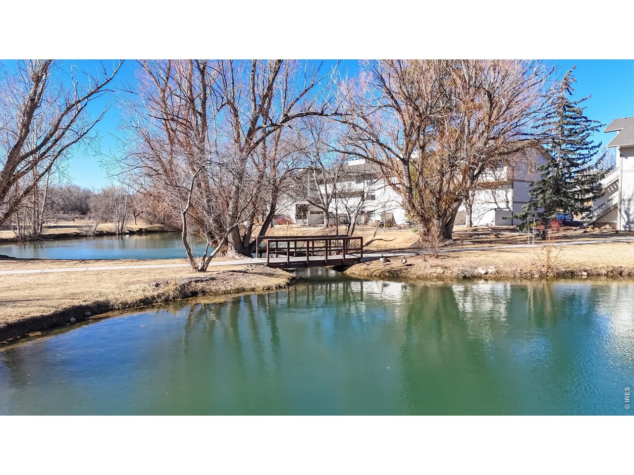 1705 Heatheridge Rd G-301 — photo