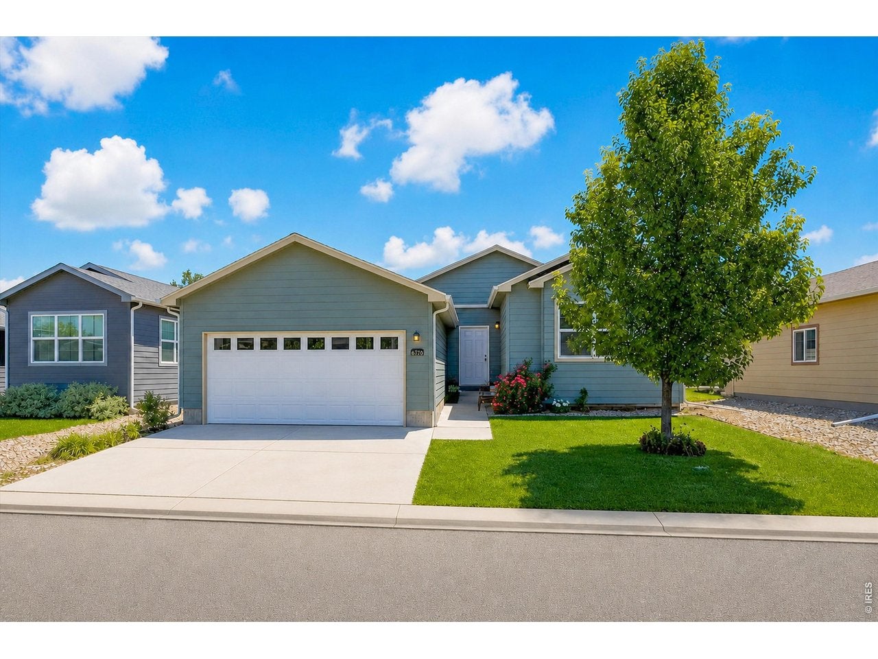 6170 Bluestem Grn — photo