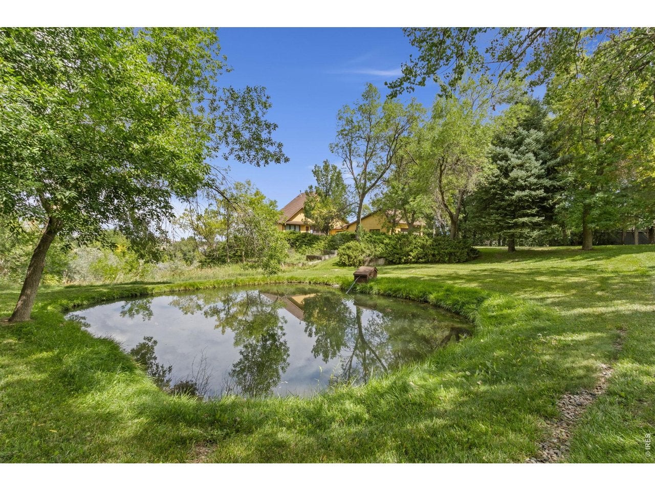 5153 Single Tree Dr — photo