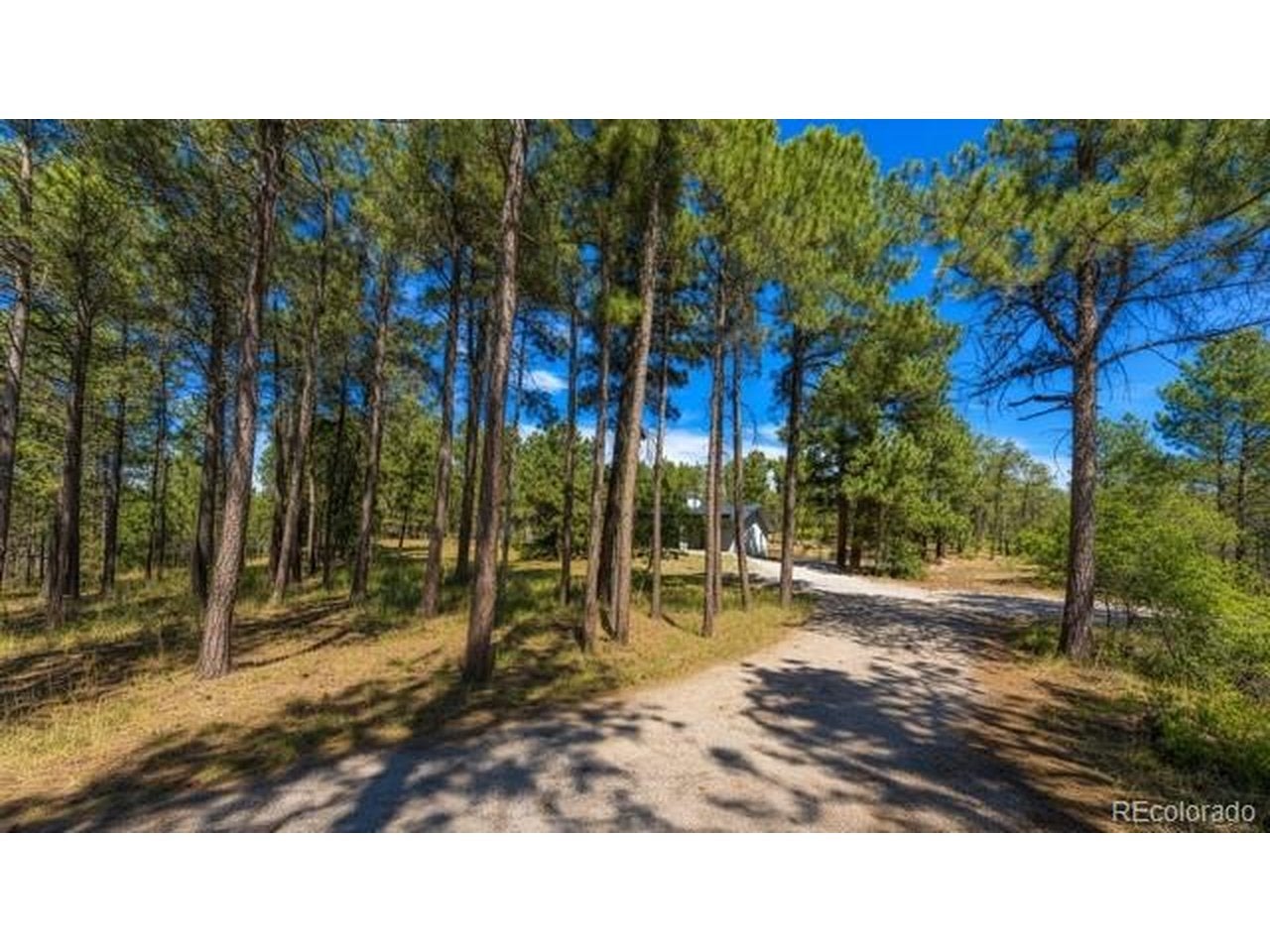 1251 Valley View Dr — photo