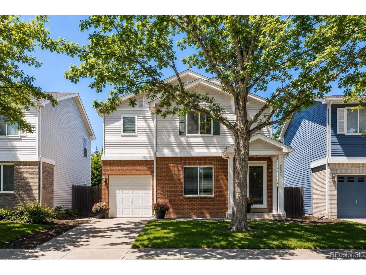 3637 Dexter Ct — photo