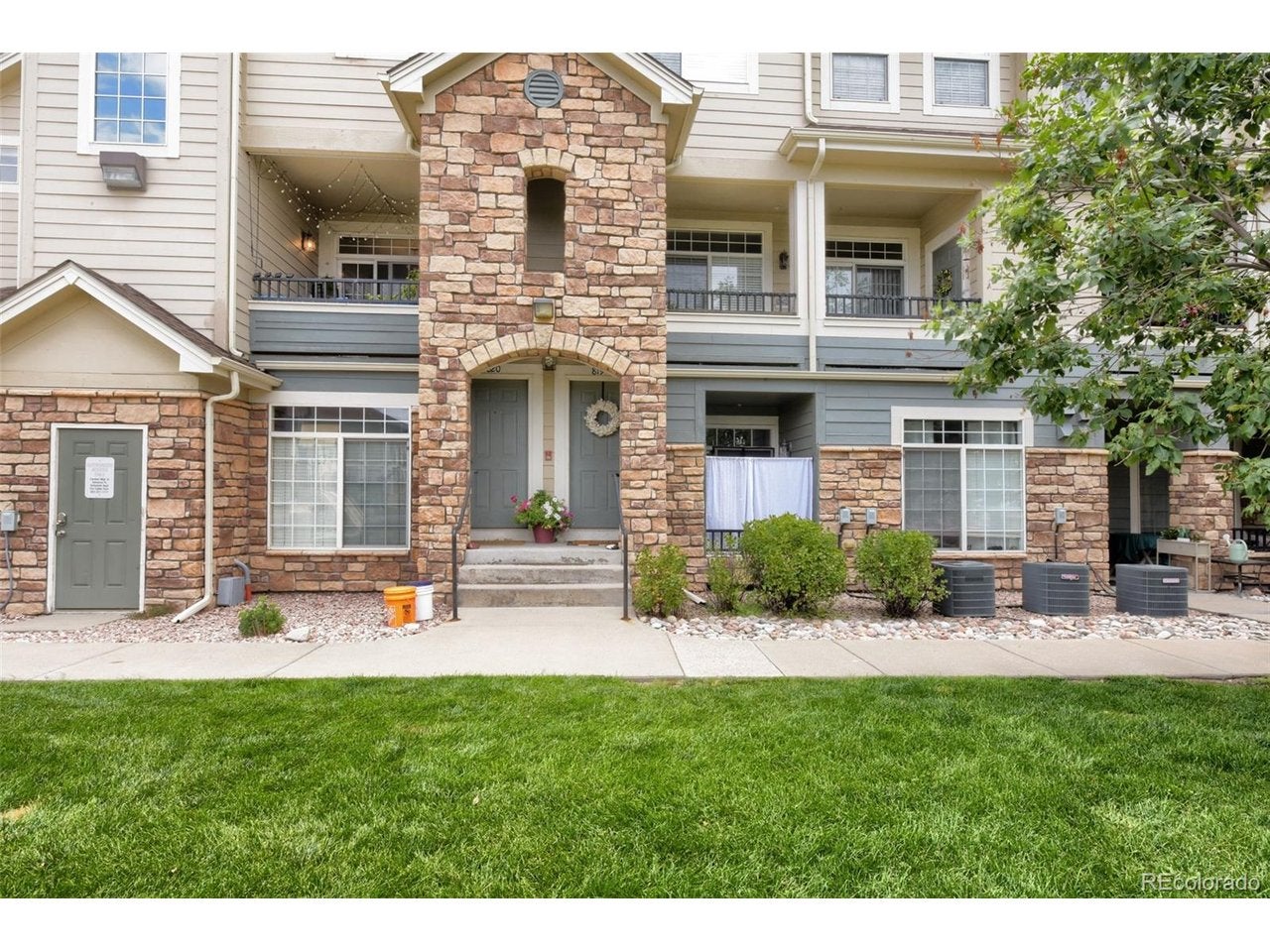 431 Black Feather Loop 820 — photo