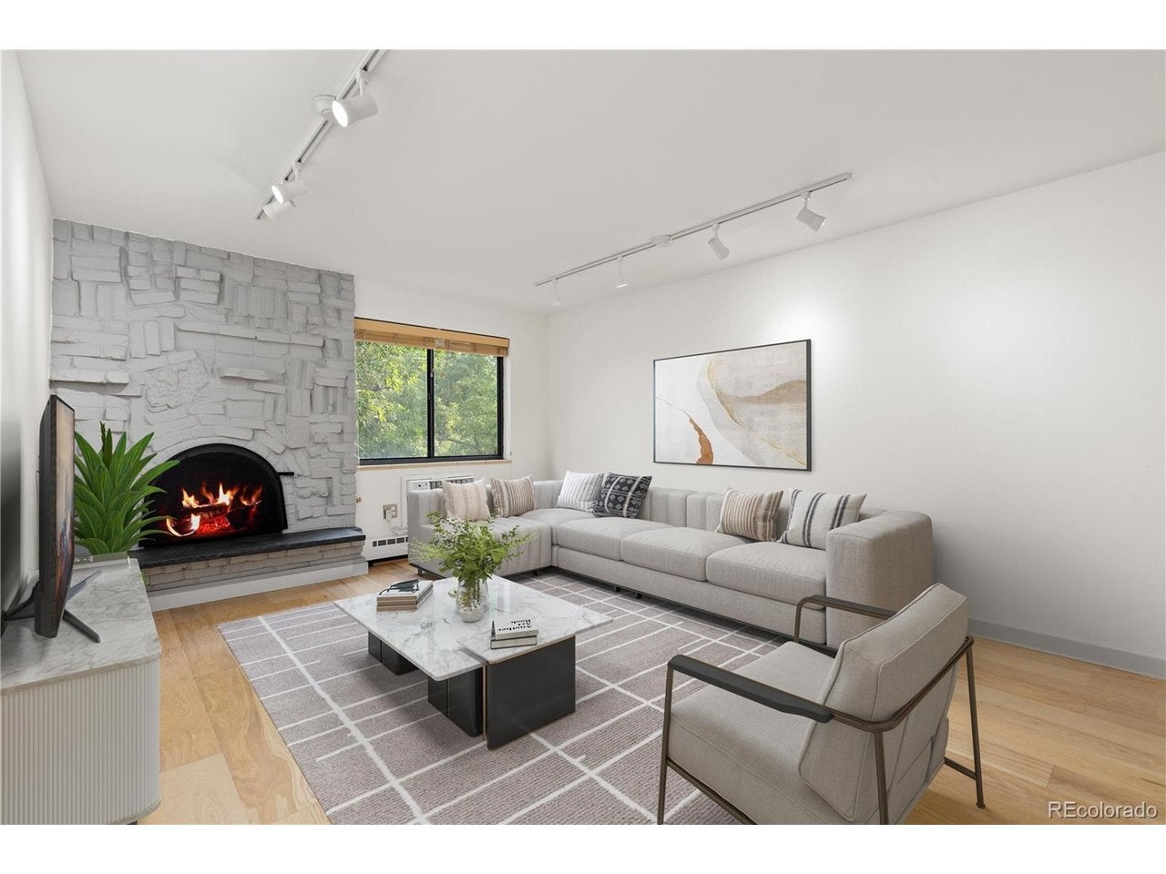 1008 N Corona St 303 — photo