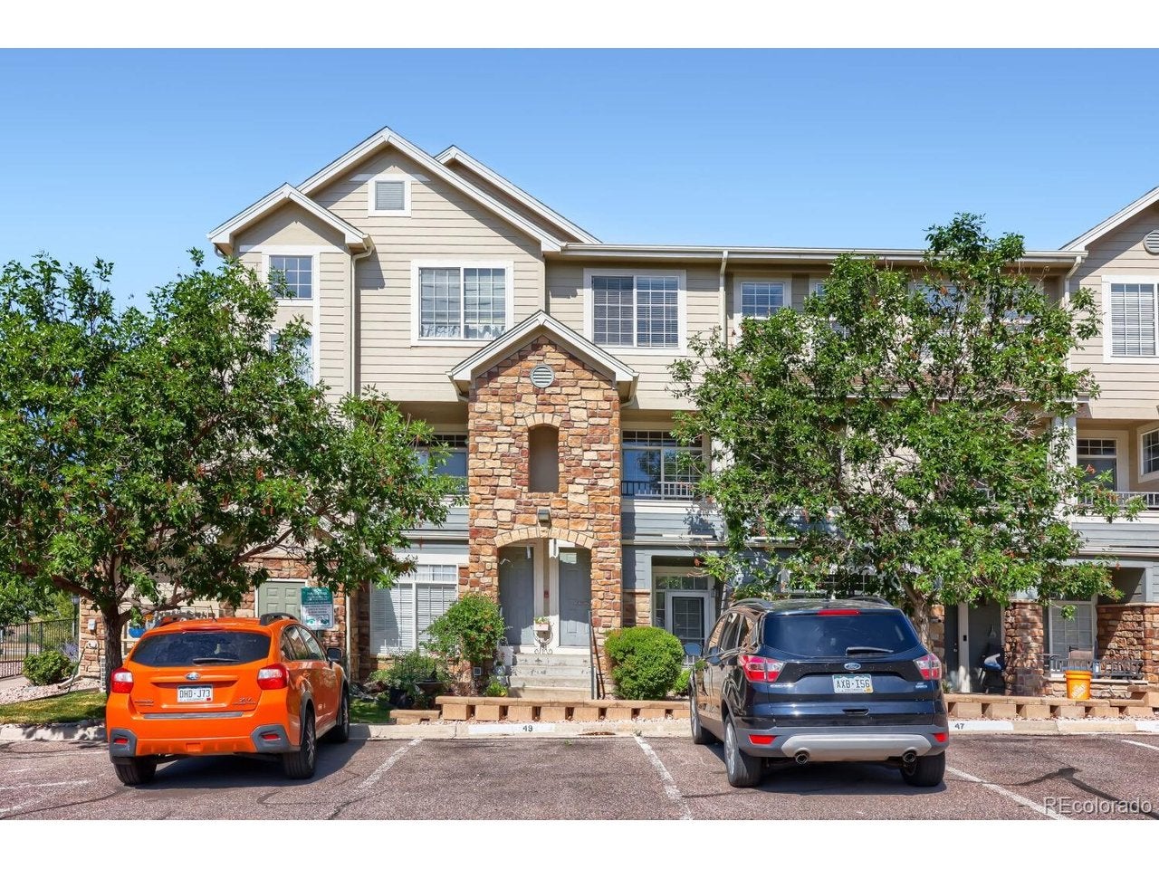 474 Black Feather Loop 413 — photo