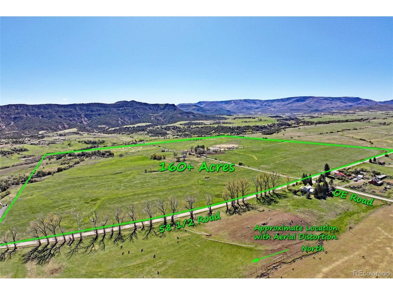 Home in Collbran, CO 81624 — photo 3