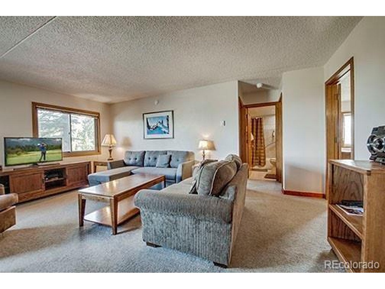 Home in Dillon, CO 80435 — photo 2