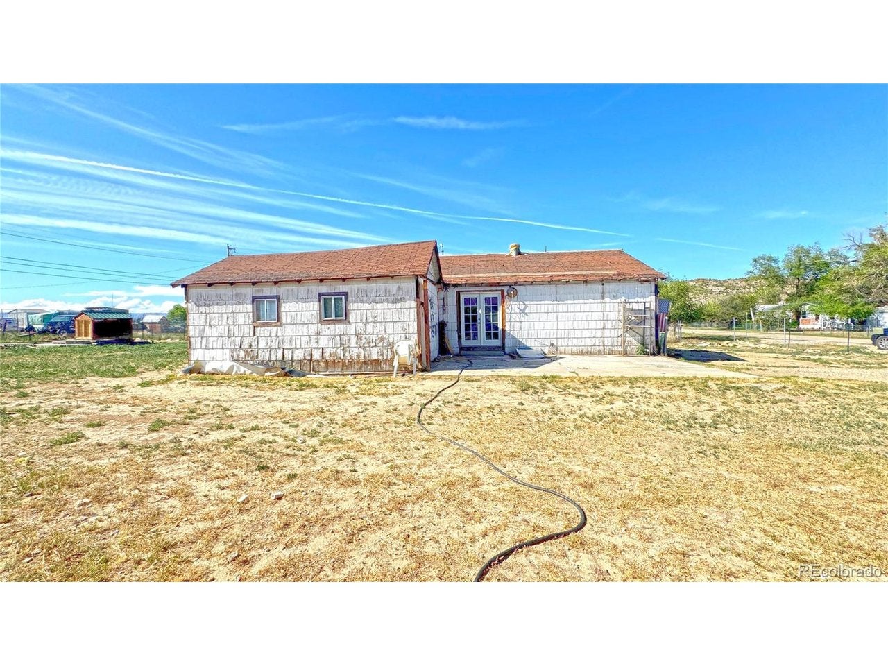 209 Antrodemus Aly — photo