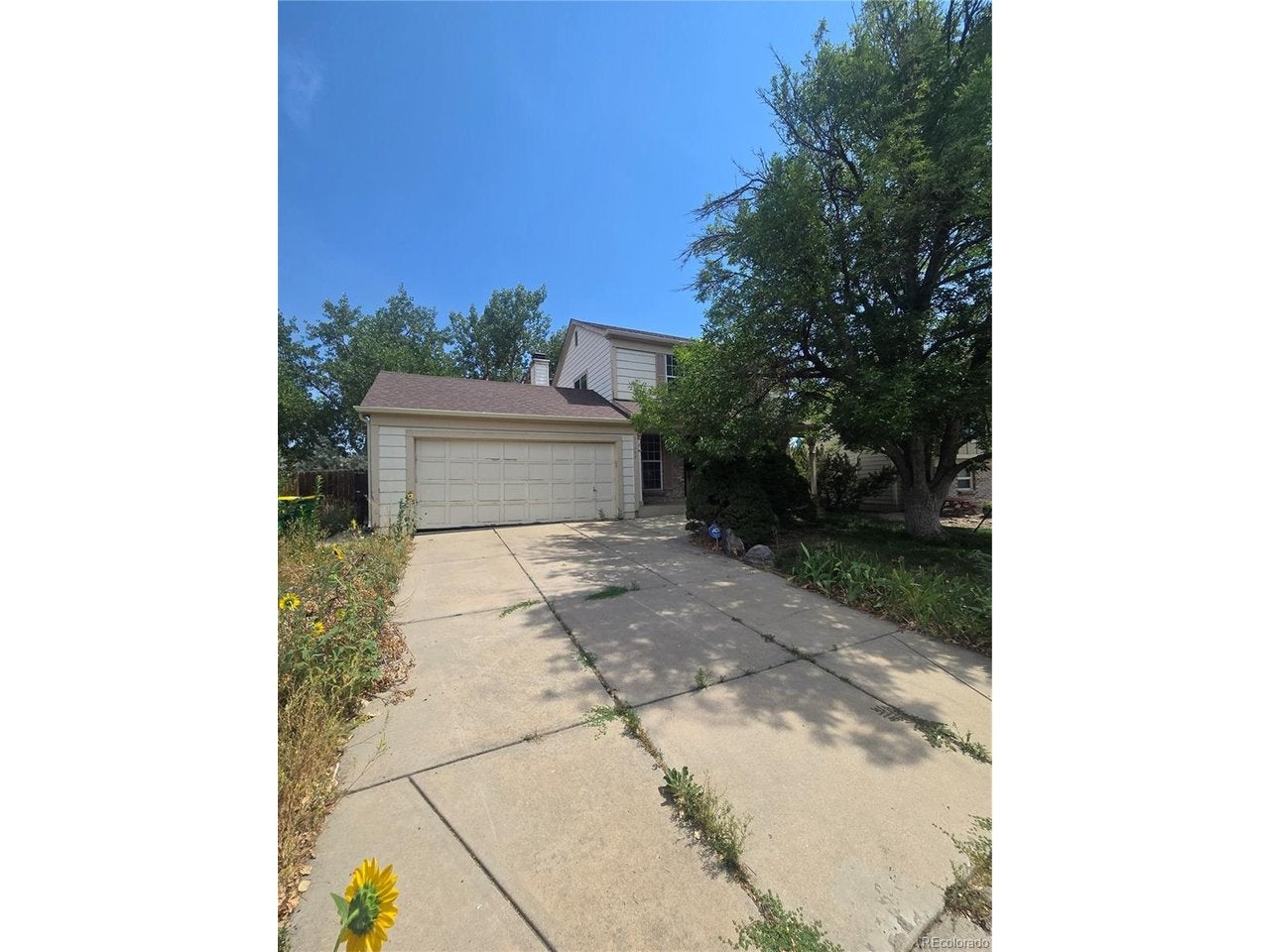 11249 W 103rd Dr — photo