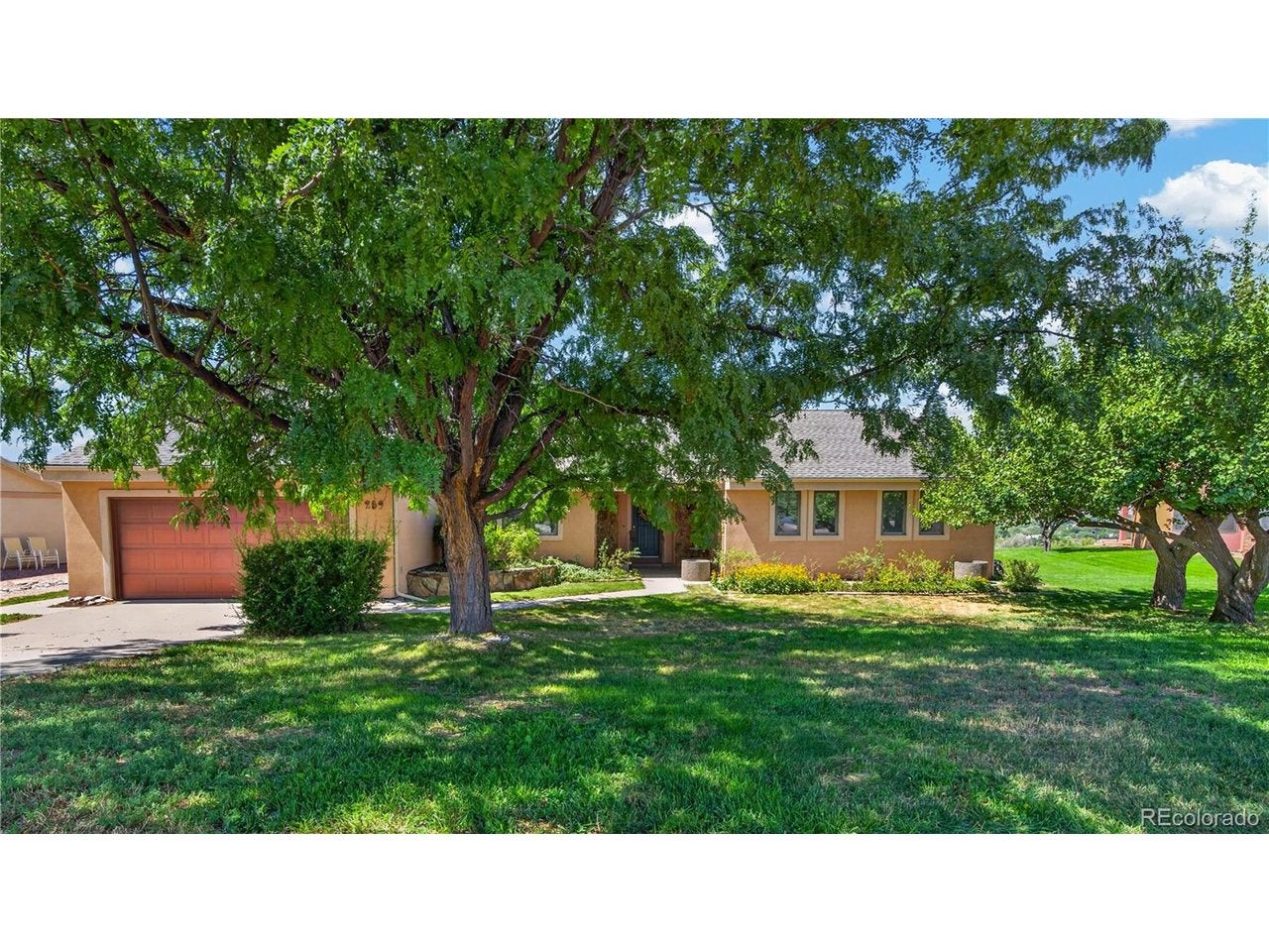 259 Willow Creek Trl — photo
