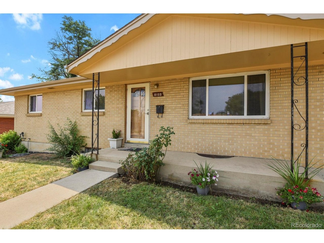 8159 Nola Dr — photo