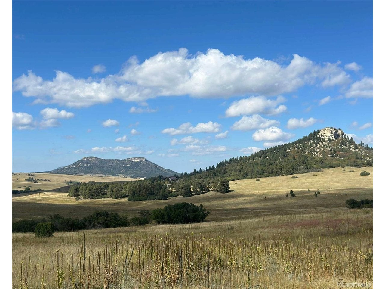 Home in Larkspur, CO 80118 — photo 3