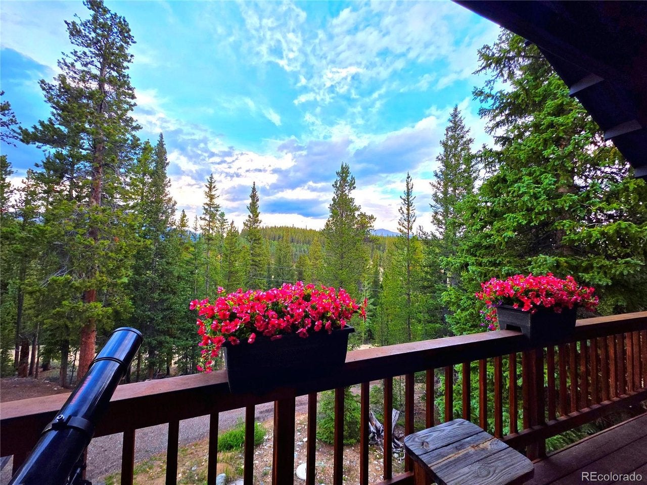 211 Pine Ridge Rd, Alma, CO 80420 — photo 3