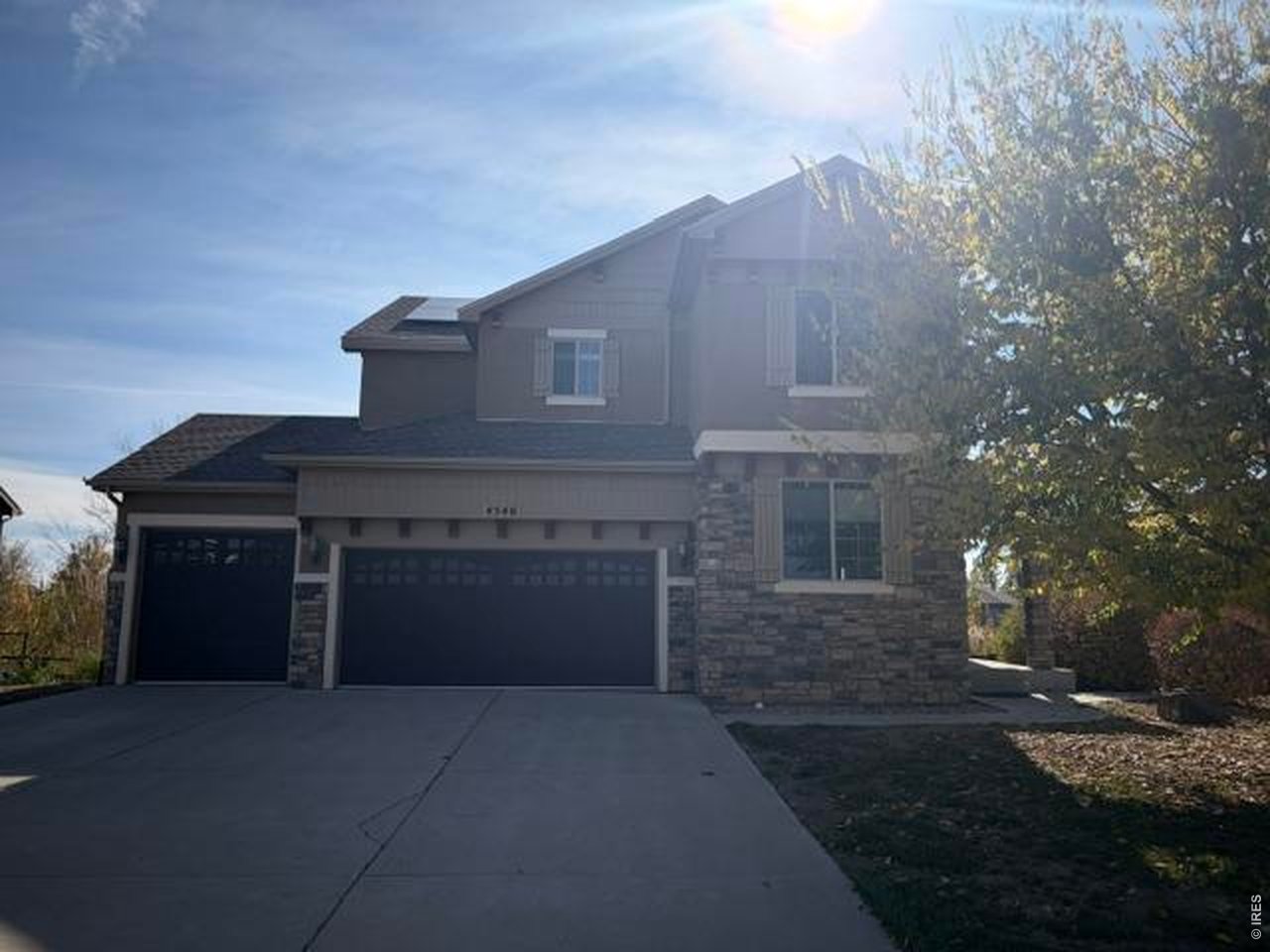 4546 Tarragon Dr — photo