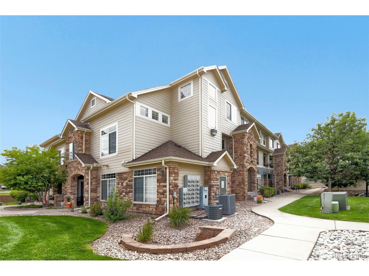431 Black Feather Loop 820 — photo